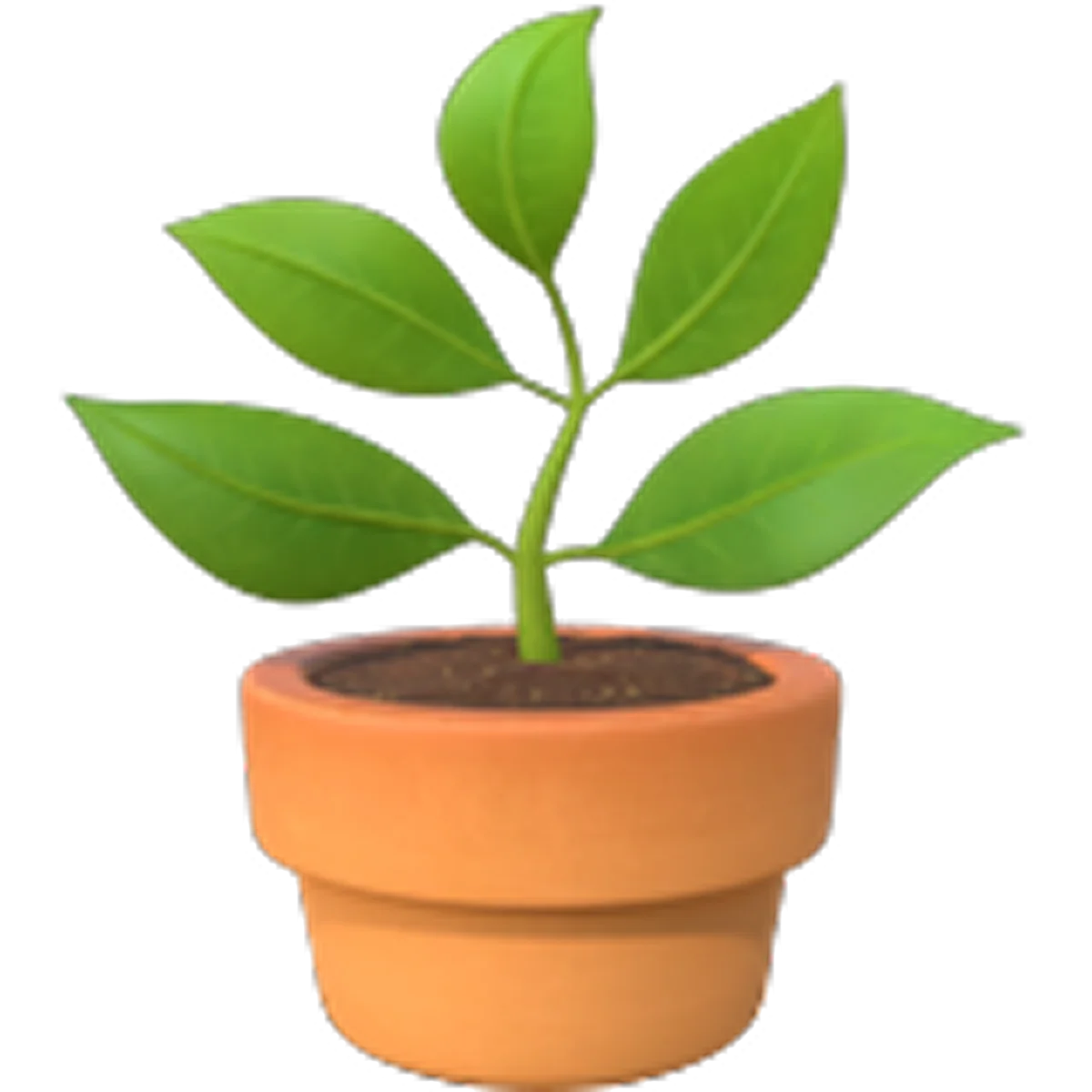 Young Green Plant in Terracotta Pot Free PNG