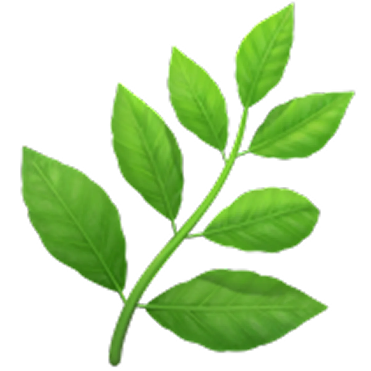 Green Leafy Sprig Botanical Illustration Free PNG