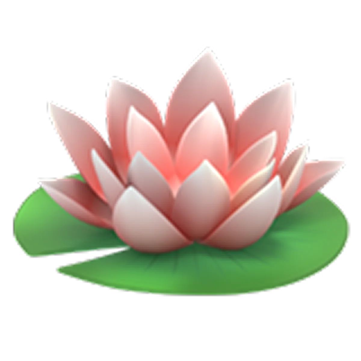 Pink Lotus Flower on a Lily Pad Free PNG
