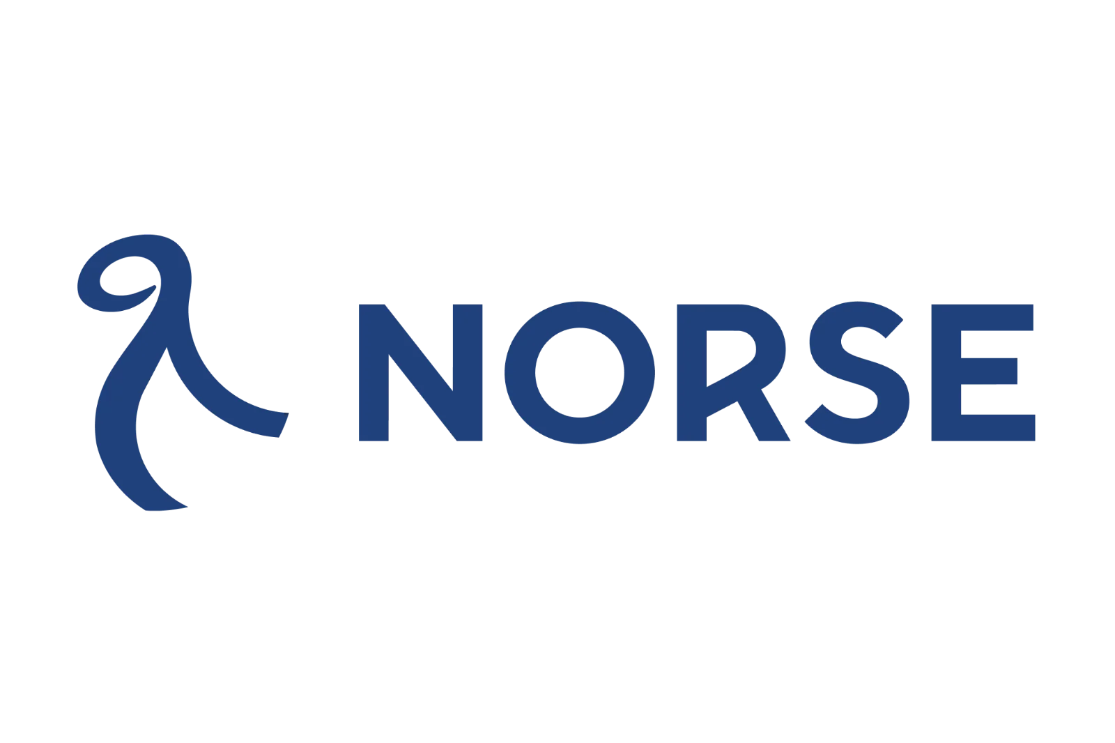 Norse Atlantic Airways Blue Wordmark Free PNG
