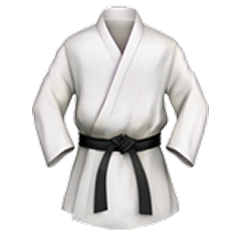 White Martial Arts Gi with Black Belt Free PNG