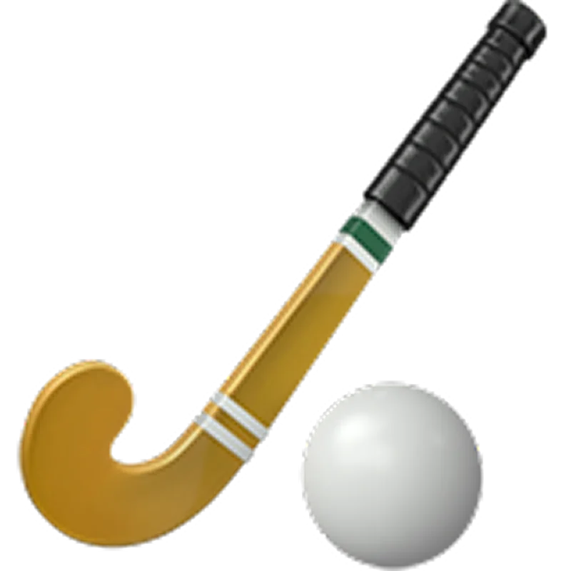 Field Hockey Stick and Ball Free PNG