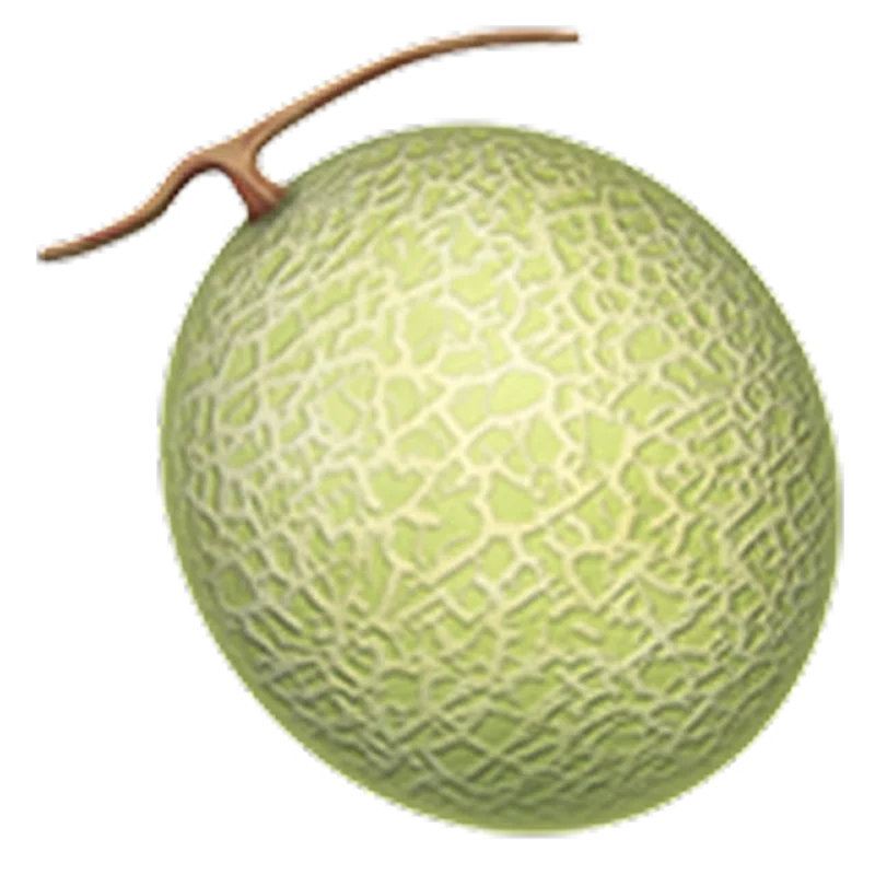 Netted Green Melon with Stem Free PNG