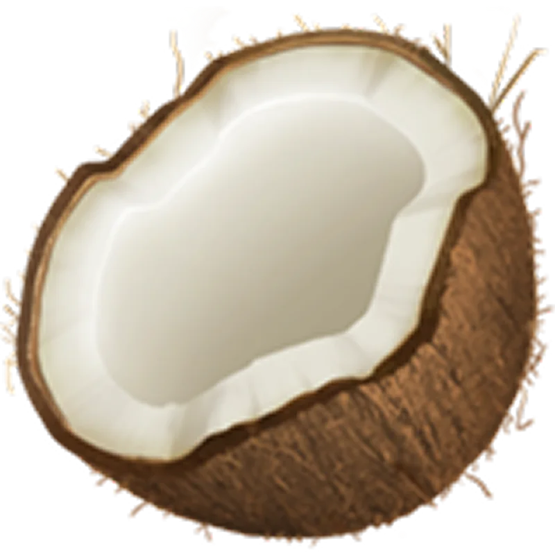 Open Brown Coconut Half with White Flesh Free PNG