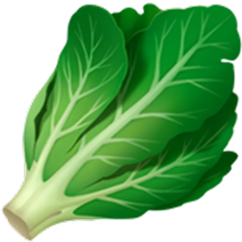 Green Leafy Vegetable Illustration Free PNG