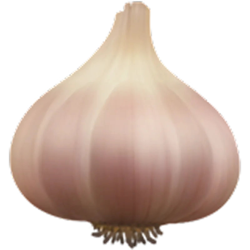Pale Garlic Bulb Free PNG