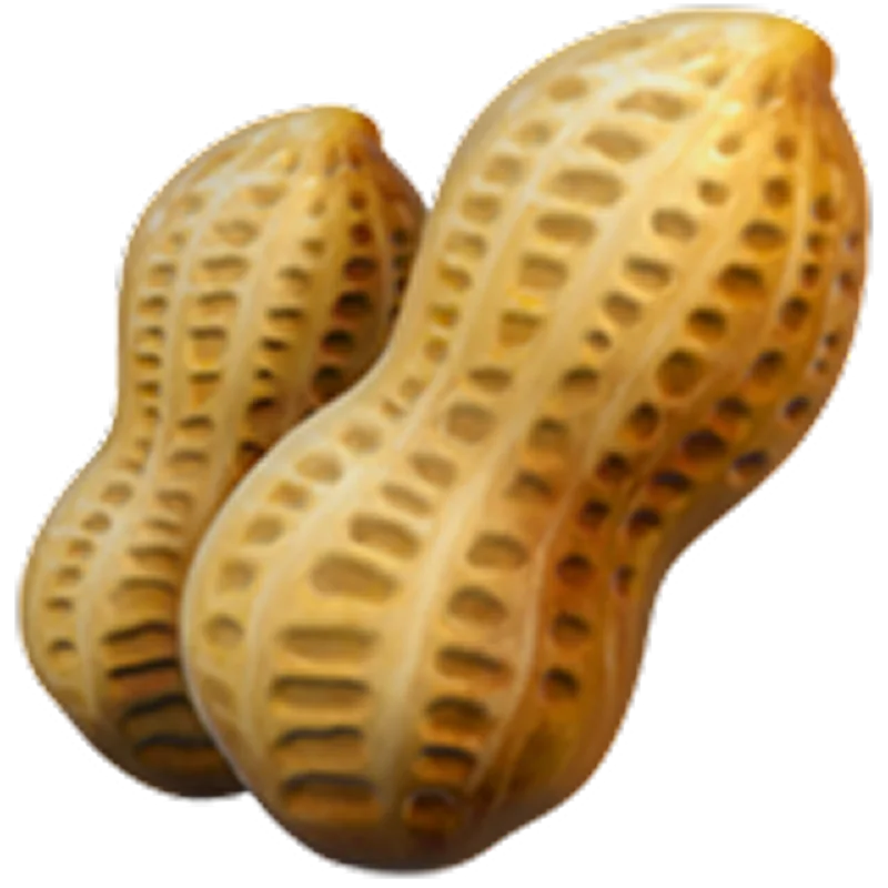 Two Golden Peanuts in Shells Free PNG