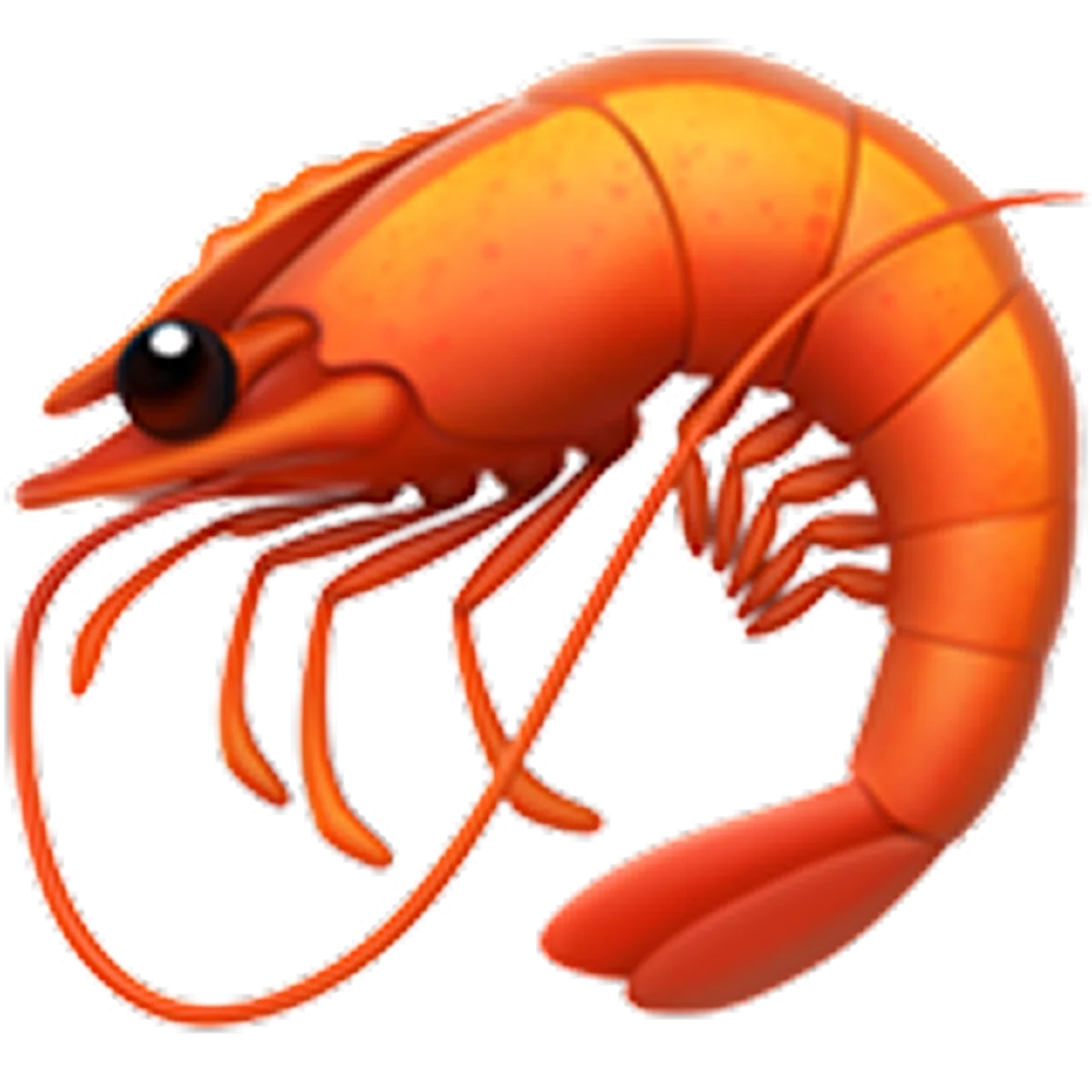 Curled Orange Cartoon Shrimp Free PNG
