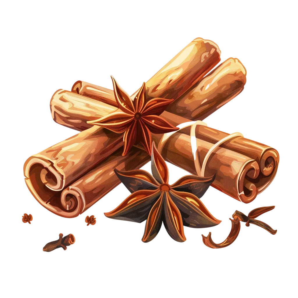 Cinnamon Sticks and Star Anise Spice Illustration Free PNG