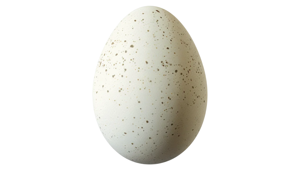 Speckled Cream Egg Free PNG