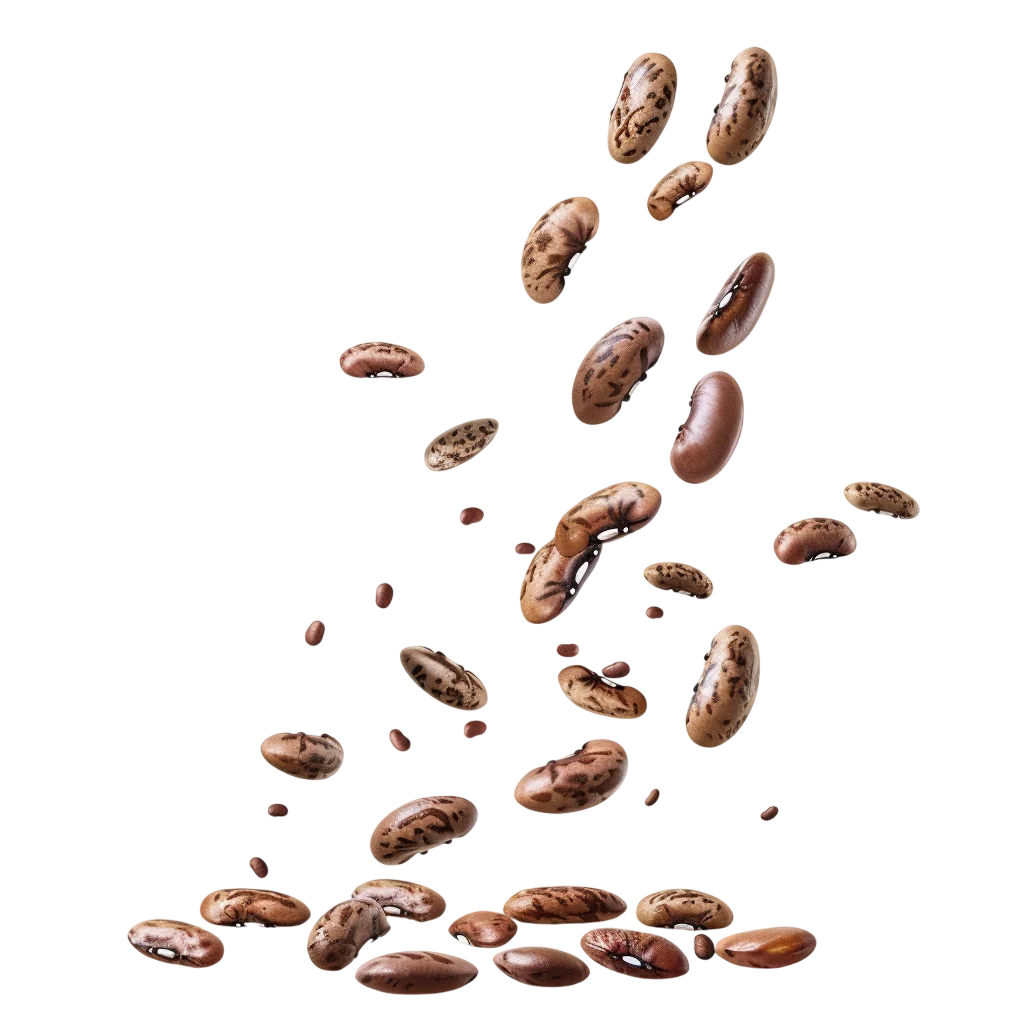 Scattered Speckled Pinto Beans Free PNG
