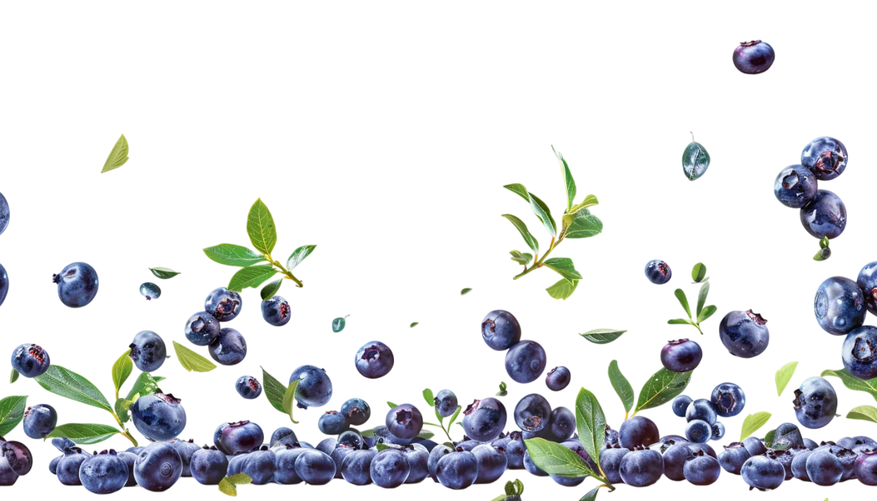 Blueberries and Leaves Above a Berry Border Free PNG