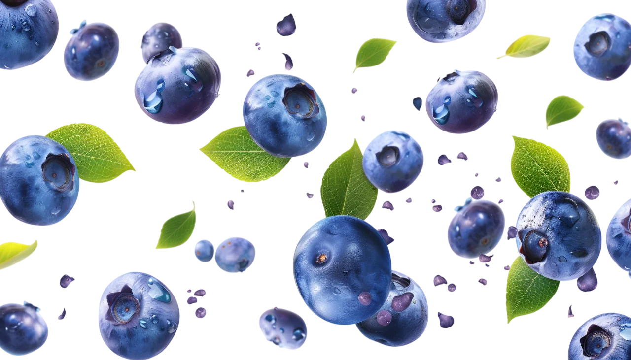 Floating Blueberries and Green Leaves Free PNG