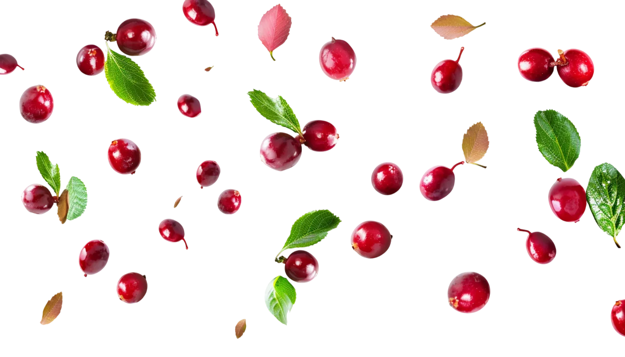 Scattered Red Berries and Leaves Free PNG