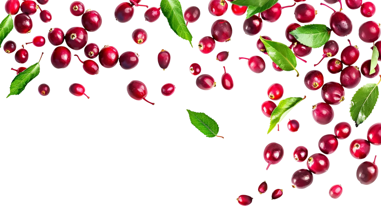 Scattered Red Berries and Green Leaves Free PNG