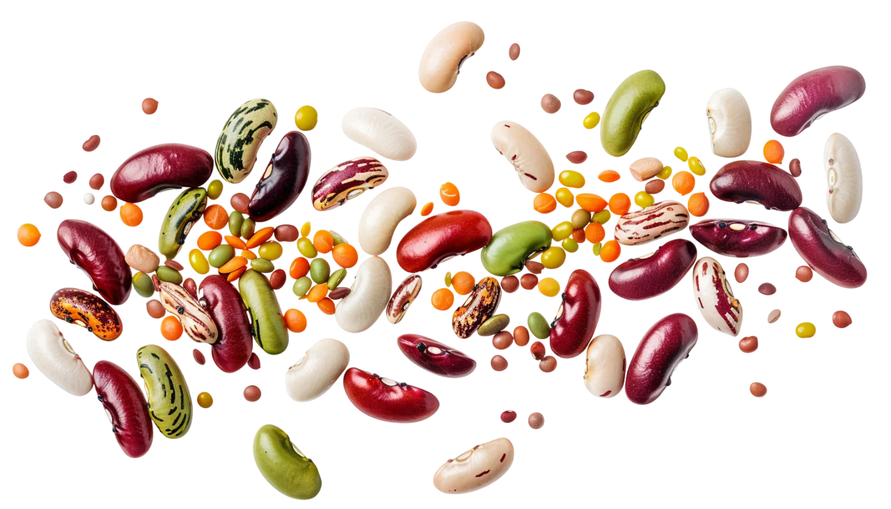 Colorful Assorted Beans Scattered in Midair – Free PNG