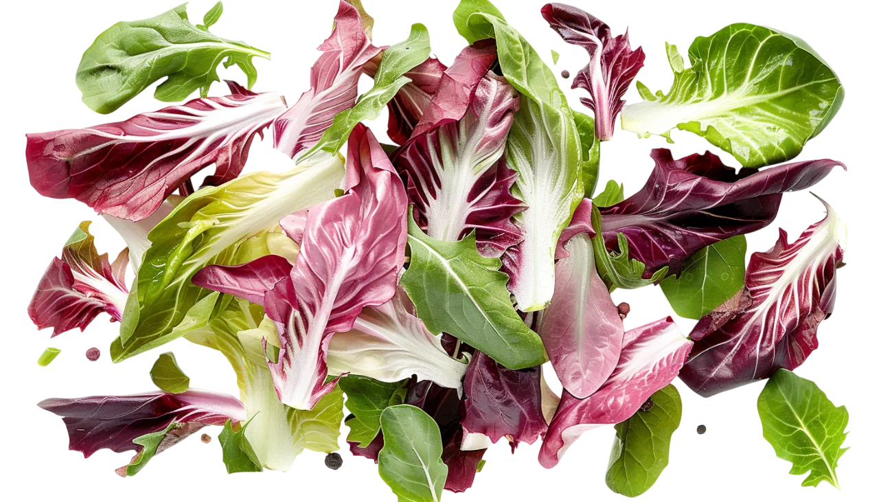 Colorful Mixed Salad Leaves Free PNG