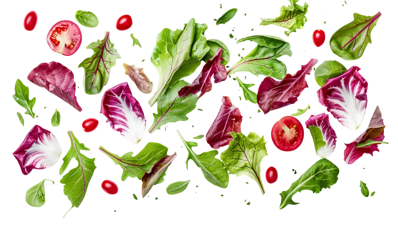 Scattered Salad Greens and Tomatoes Free PNG