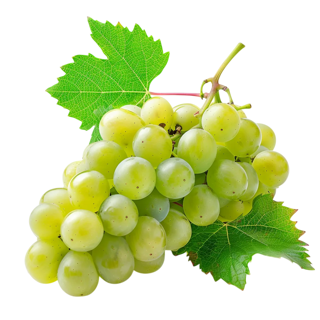 Green Grape Cluster with Vine Leaves | Free PNG