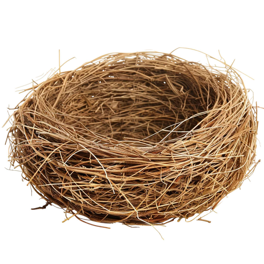 Empty Brown Twig Bird Nest Free PNG