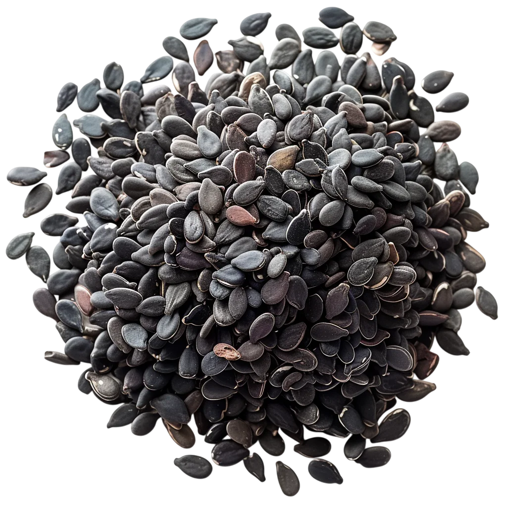 Pile of Dark Sunflower Seeds Free PNG