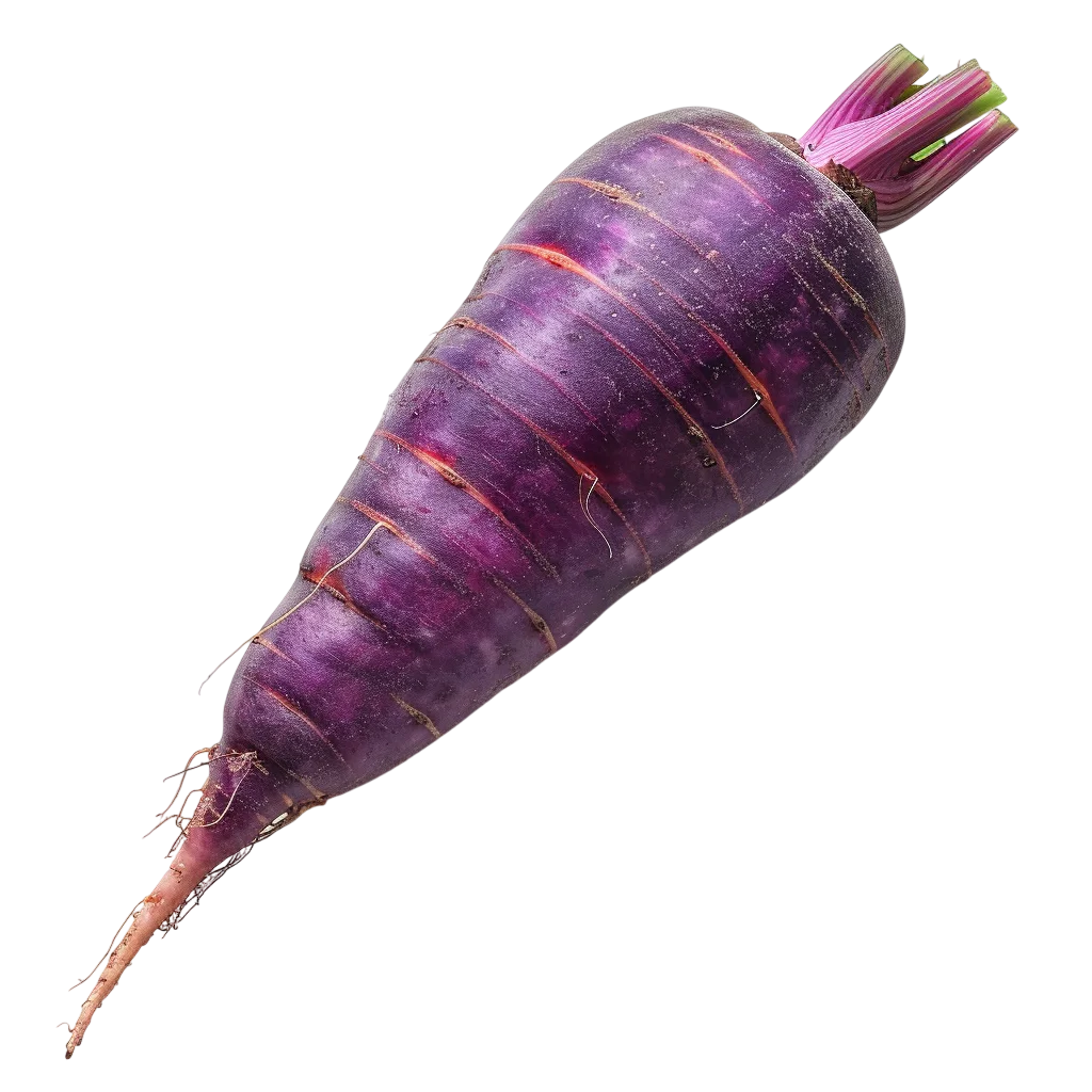 Whole Purple Carrot with Magenta Stems | Free PNG