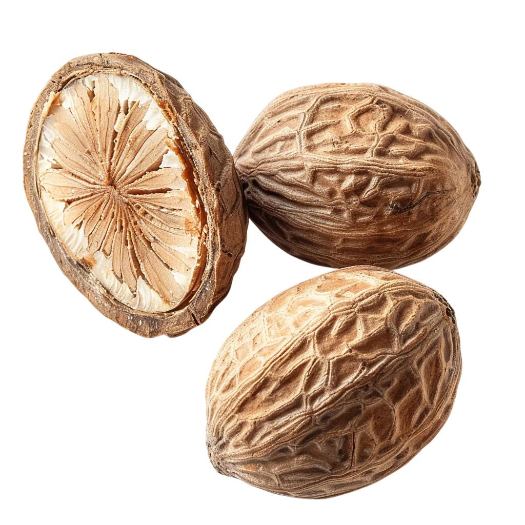 Areca Nuts with One Sliced Open – Free PNG