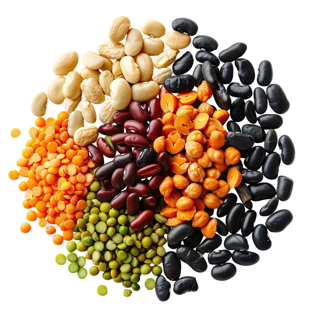 Colorful Assortment of Beans and Lentils - Free PNG