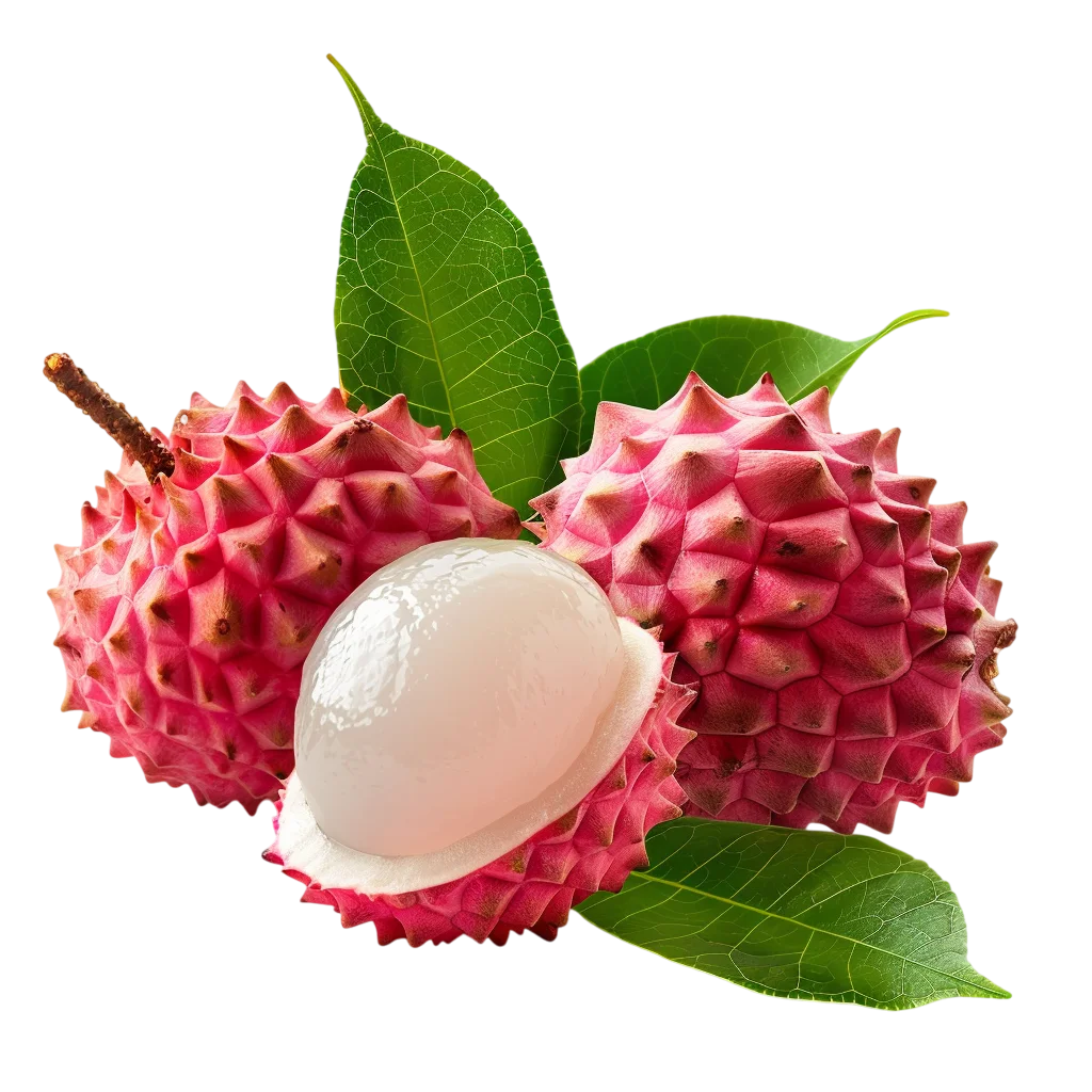 Pink Pulasan Fruits with Green Leaves Free PNG