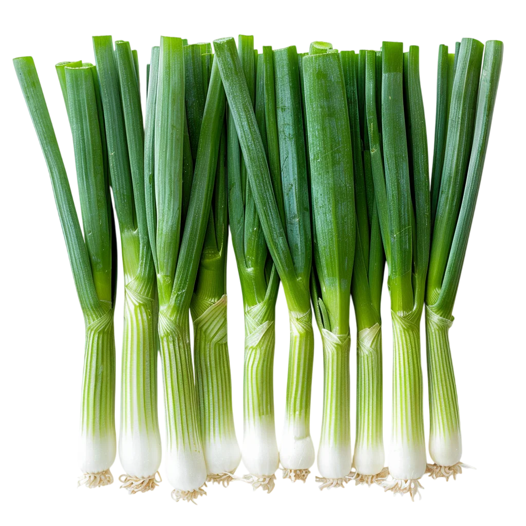 Fresh Green Scallions Bunch Free PNG