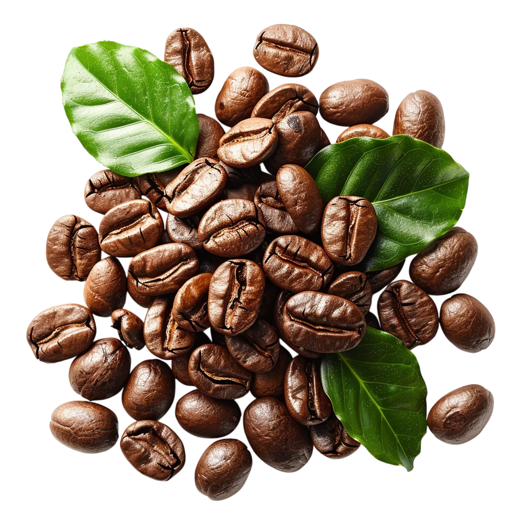 Roasted Coffee Beans with Green Leaves - Free PNG