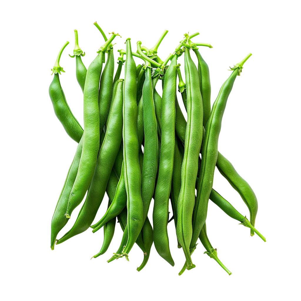 Fresh Green Beans Bunch Free PNG
