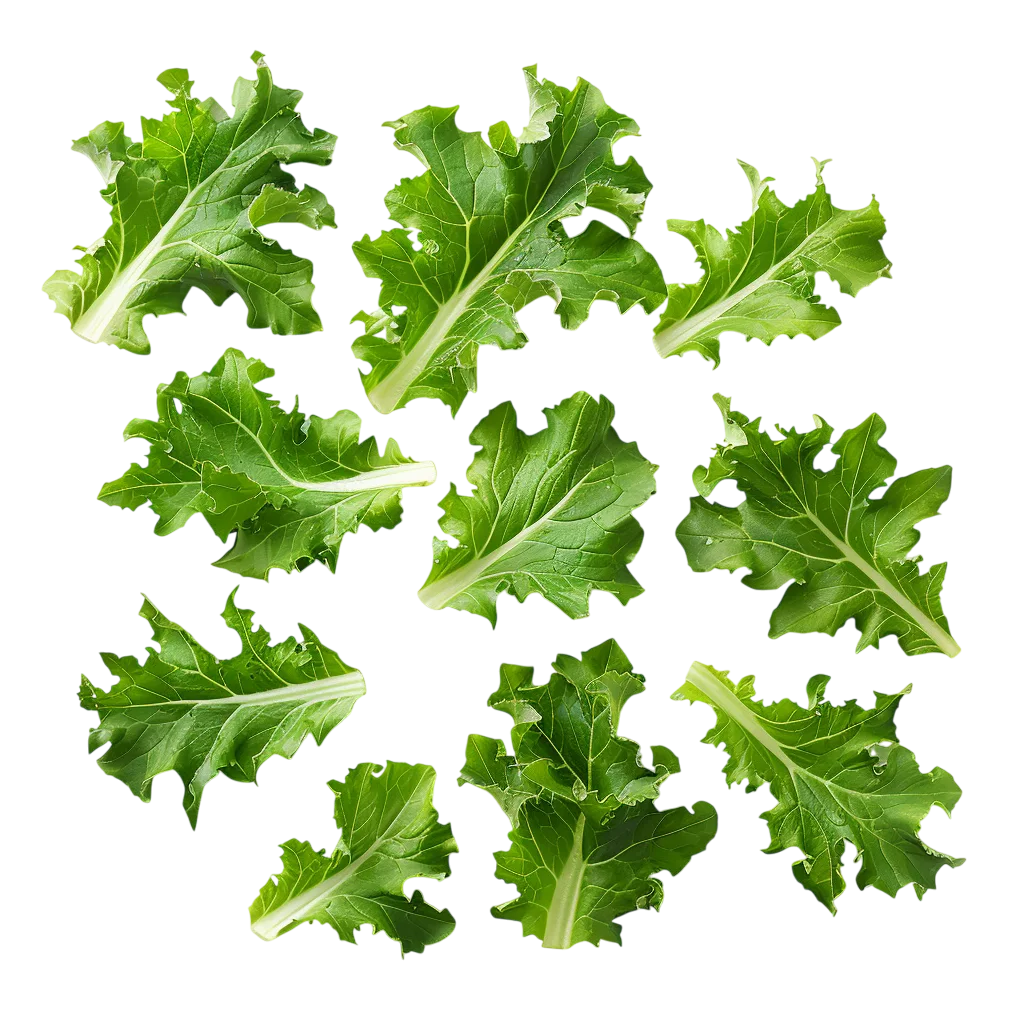 Fresh Green Kale Leaves Isolated on Black | Free PNG
