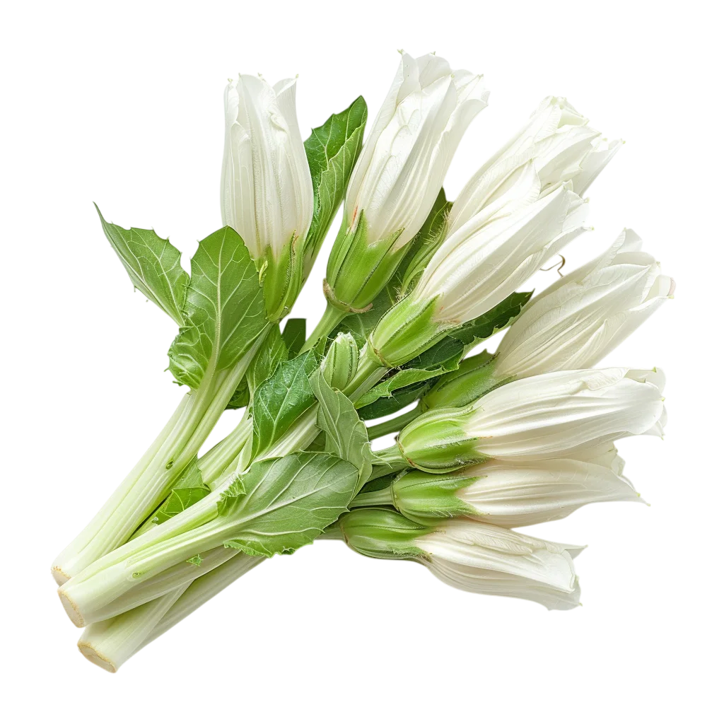Free PNG Cluster of White Flower Buds and Green Leaves