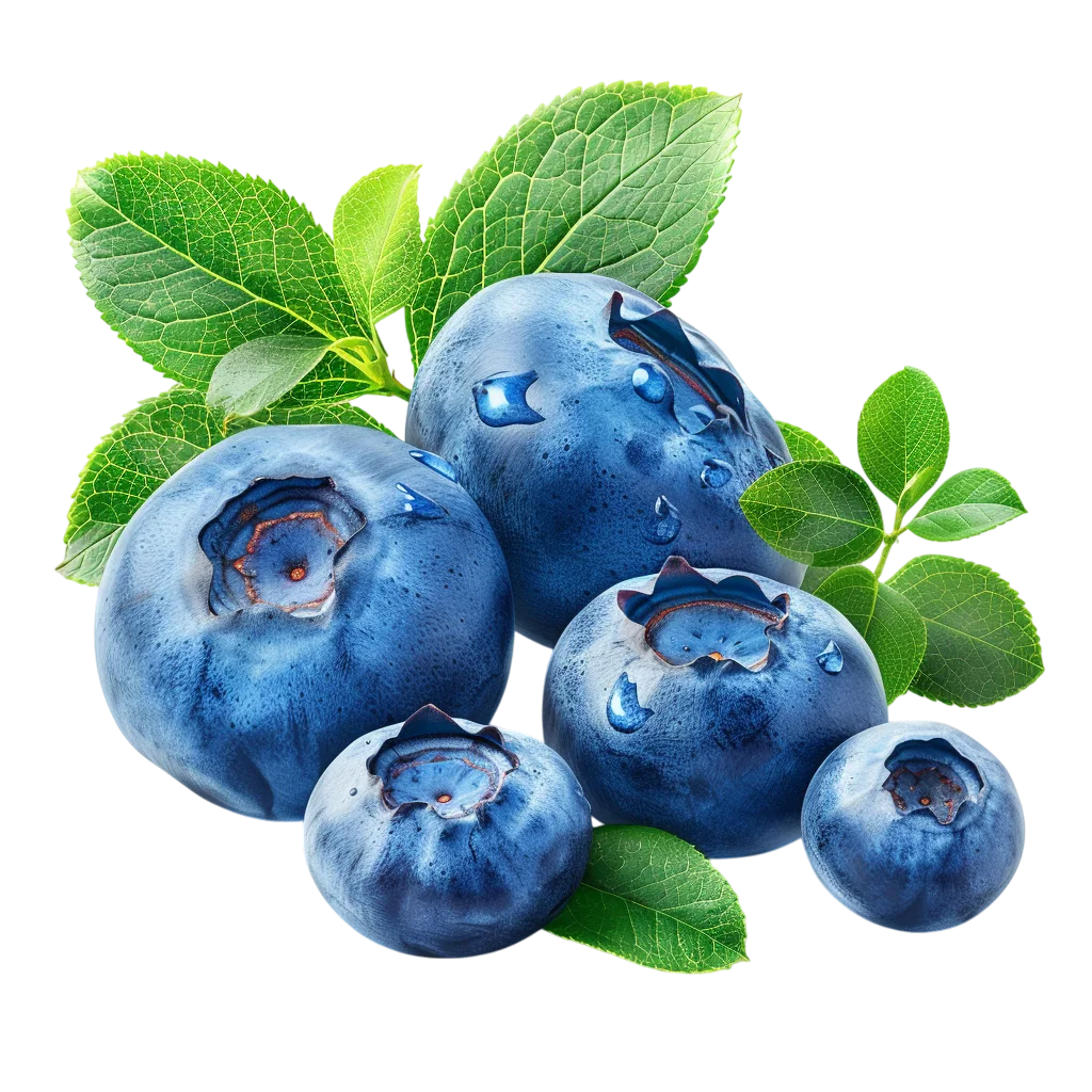 Fresh Blueberries with Green Leaves and Water Drops Free PNG