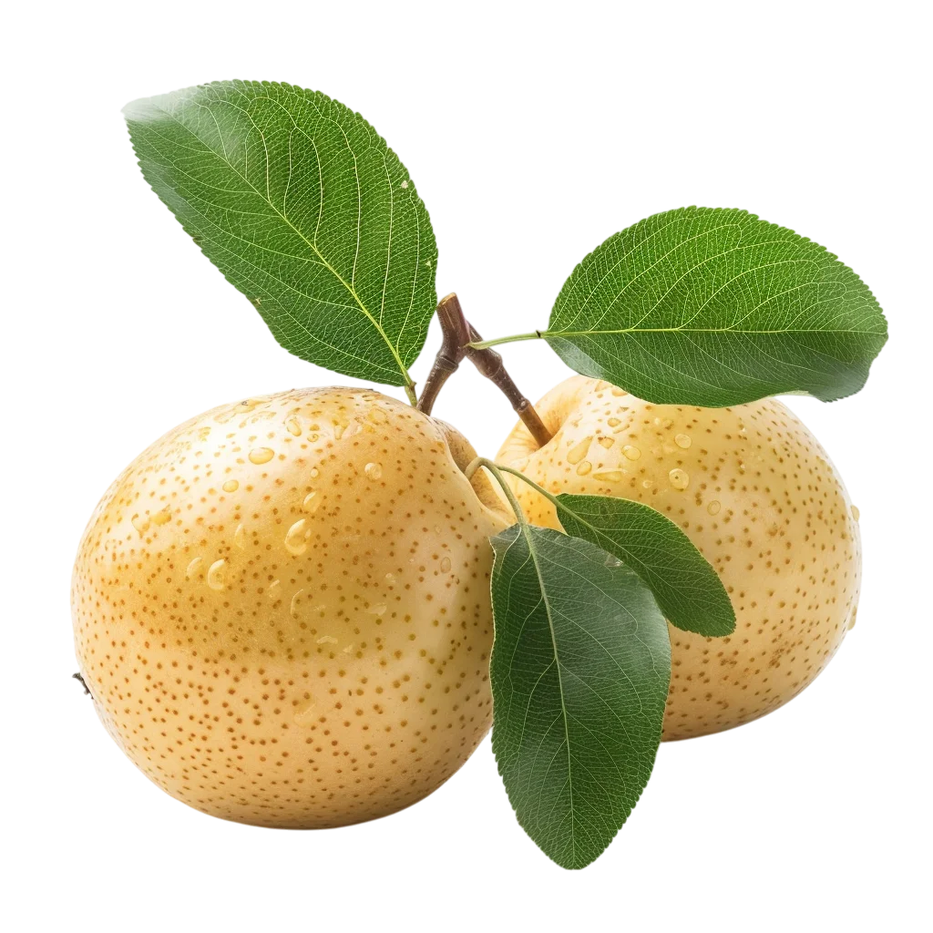 Two Golden Asian Pears with Leaves - Free PNG