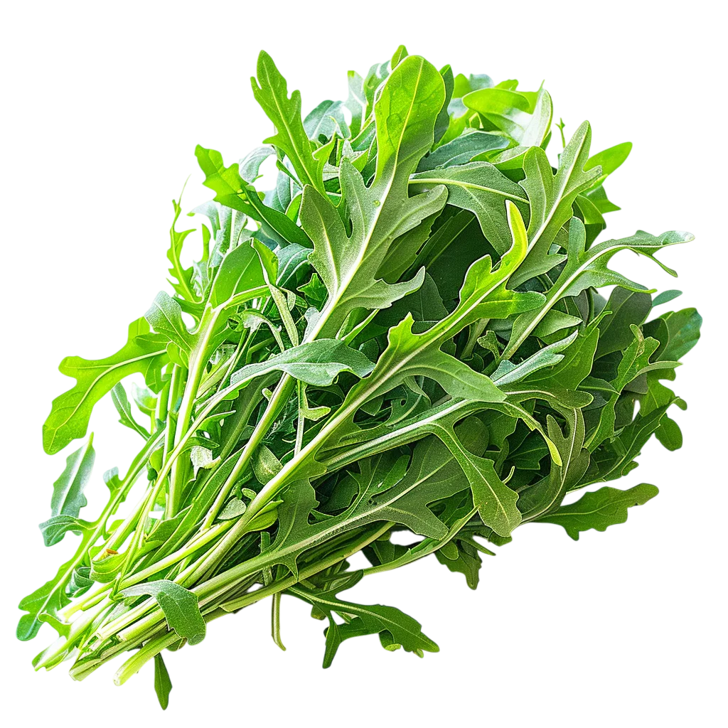 Fresh Arugula Leaves Bunch | Free PNG