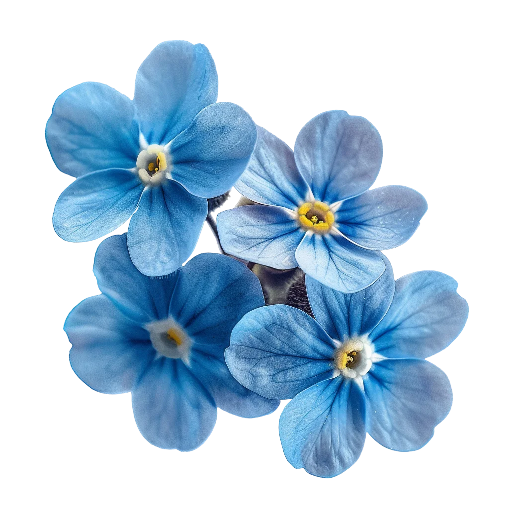 Blue Flower Cluster Isolated on Transparent Background - Free PNG