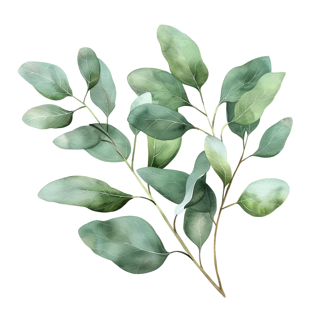 Watercolor Green Eucalyptus Leaves Branch – Free PNG