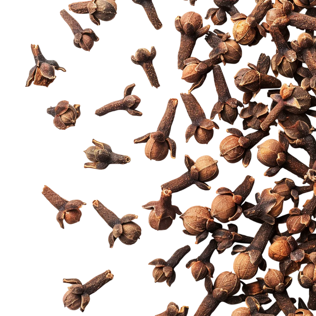 Whole Cloves Spice Scatter Free PNG