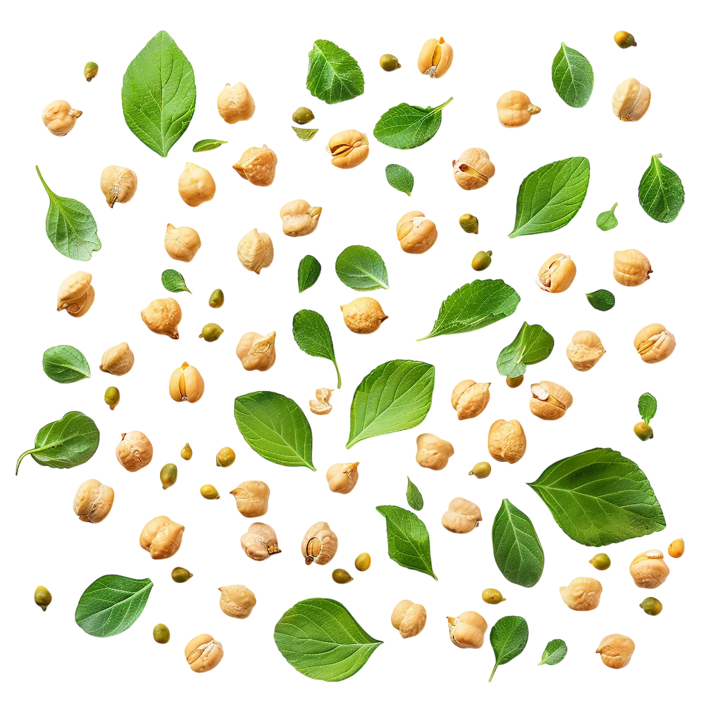 Chickpeas and Green Leaves | Free PNG