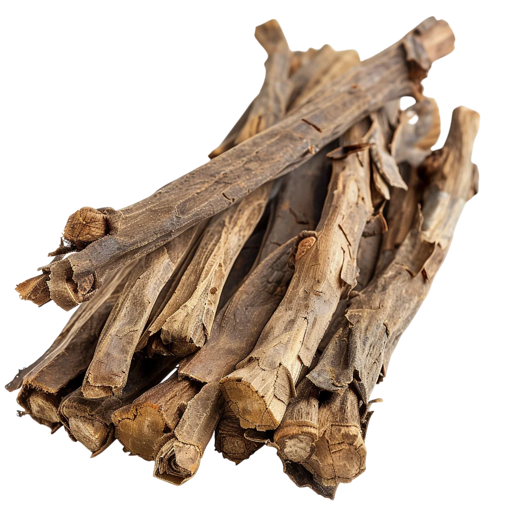 Bundle of Rough Firewood Sticks | Free PNG