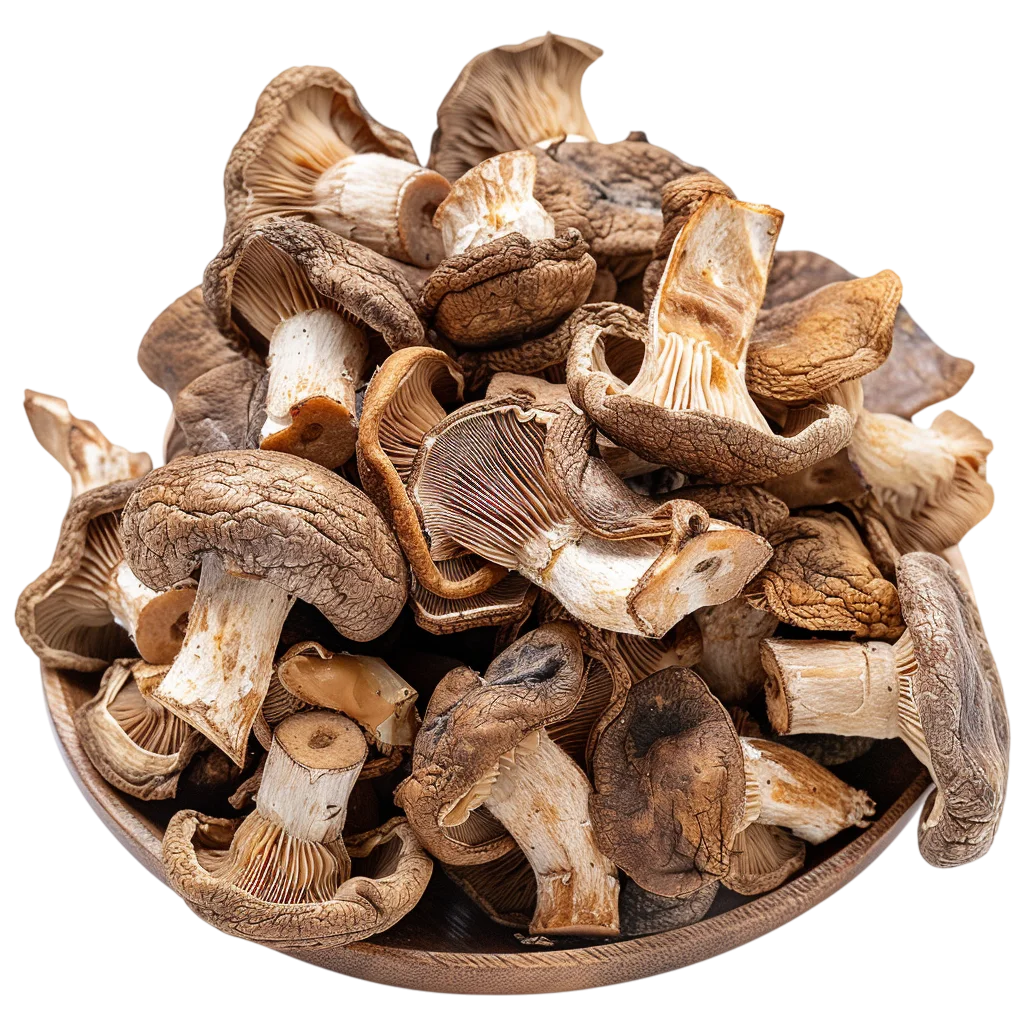 Pile of Dried Mushrooms on a Plate - Free PNG