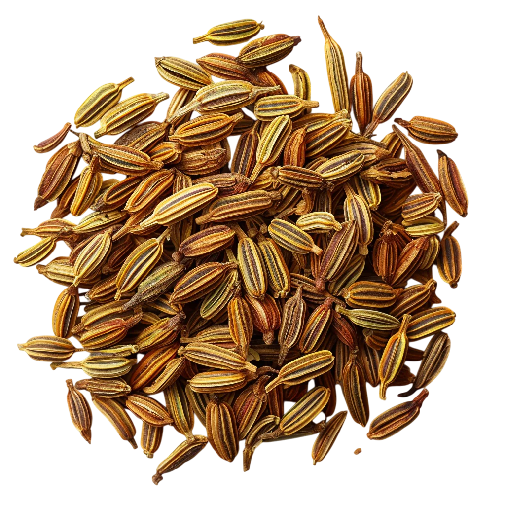 Pile of Golden Brown Fennel Seeds Free PNG